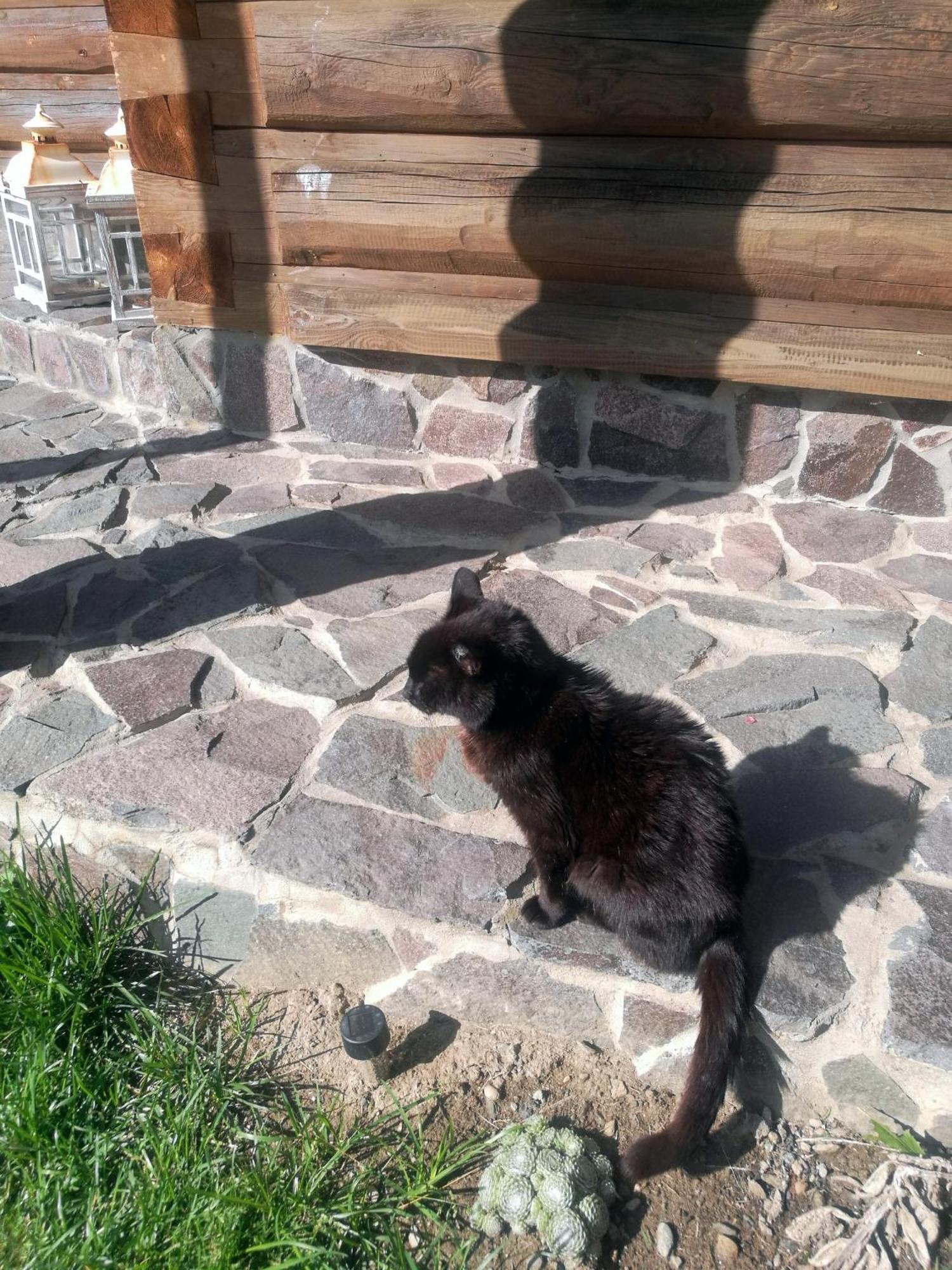 Апартаменты Drevenica Zapadne Tatry S Kupacou Kadou A Krbom Жьяр Экстерьер фото